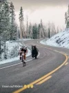 IMG-20181210-WA0005.webp