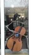 20181210_132438.webp