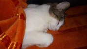 20181211_141008.webp