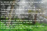 SAM_2162.webp