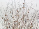 PC120287 (2).webp