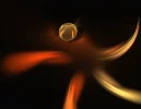 FABERGE 131218_4.webp