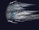 FABERGE 141218_5.webp