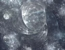 FABERGE 141218_7.webp