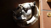 20181213_110323.webp