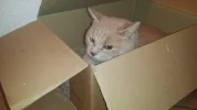 20181201_194759.webp