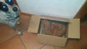 20181201_194450.webp