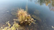 20181111_153129.webp