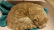 20181122_015114.webp