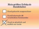 megalol_62212.webp