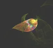 FABERGE 151218_4.webp