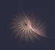 FABERGE 201218_3.webp