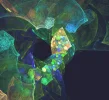 FABERGE 201218_6.webp