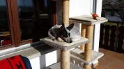 20180126_124700.webp