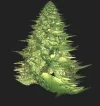 FABERGE 241218_7.webp