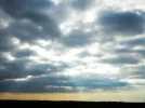 IMG_1051 (2).webp