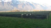 20181226_152458.webp