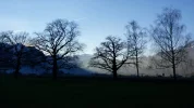 20181226_153103.webp
