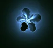 FABERGE 261218_3.webp