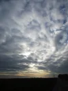 IMG_1096 (2).webp