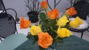 20181230_110734.webp