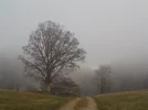 DSCN4094.webp