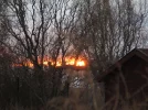IMG_1302 (3).webp