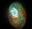 FABERGE 010119_8.webp