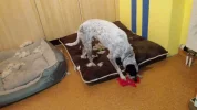 20190102_175626.webp