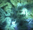 FABERGE 030119_6.webp