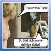 FB_IMG_1546743297546.webp
