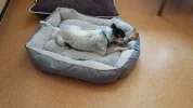 20190107_134332.webp