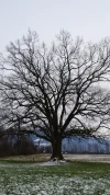 20190104_151304.webp
