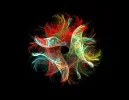 FABERGE 080119_9.webp