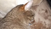 20190108_123100.webp