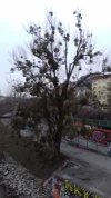 20190107_160651.webp