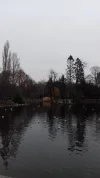 20190107_154040.webp