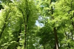 4567.webp