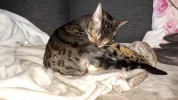 20190109_124559.webp