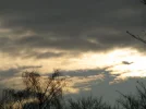 086.webp