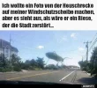 3 heuschrecke.webp