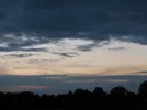 190.webp