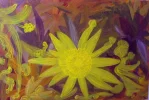 illuminiertes 180,-.webp