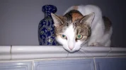 20190114_091818.webp