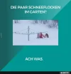 4 ein paar Schneelocken.webp