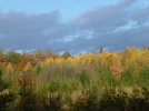 Horizont111118.webp