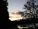 008.webp