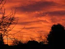 jan2008 014.webp