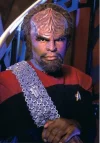 Worf-worf-7843663-408-582.webp