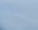 IMG_1730 (2).webp